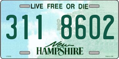 NH license plate 3118602