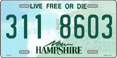 NH license plate 3118603