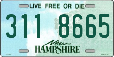 NH license plate 3118665