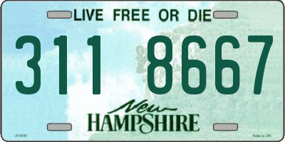 NH license plate 3118667