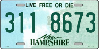 NH license plate 3118673