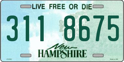 NH license plate 3118675