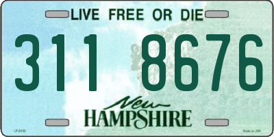 NH license plate 3118676