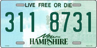 NH license plate 3118731