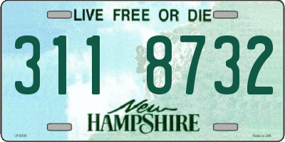 NH license plate 3118732