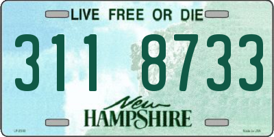 NH license plate 3118733