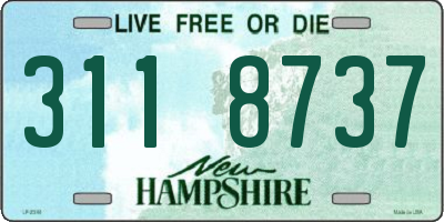 NH license plate 3118737