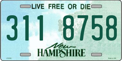 NH license plate 3118758