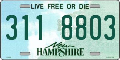 NH license plate 3118803