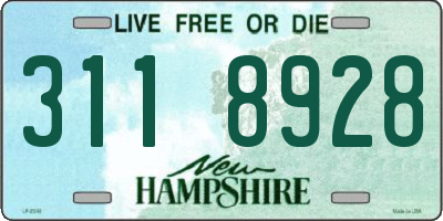 NH license plate 3118928