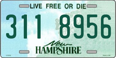 NH license plate 3118956