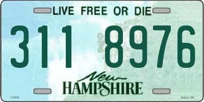 NH license plate 3118976