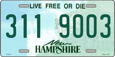 NH license plate 3119003