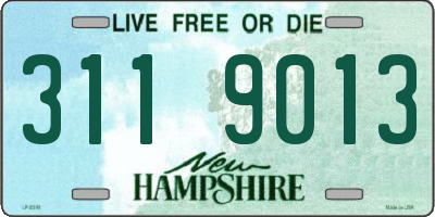 NH license plate 3119013