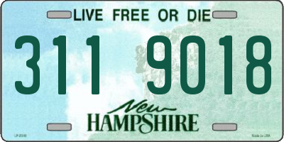 NH license plate 3119018