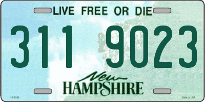 NH license plate 3119023