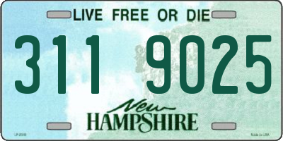 NH license plate 3119025