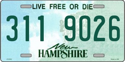 NH license plate 3119026