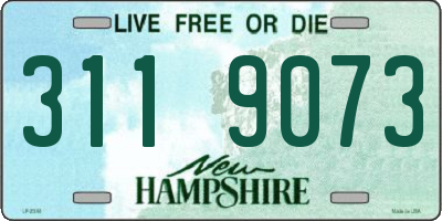 NH license plate 3119073