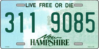 NH license plate 3119085