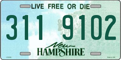 NH license plate 3119102