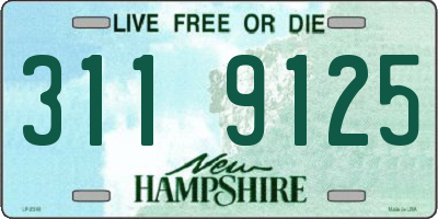 NH license plate 3119125