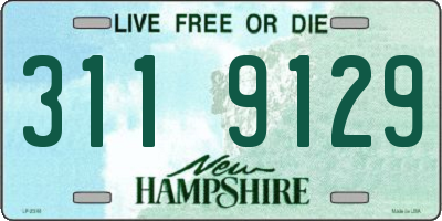 NH license plate 3119129