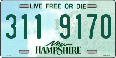 NH license plate 3119170