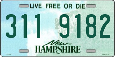 NH license plate 3119182