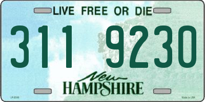 NH license plate 3119230
