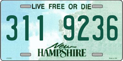 NH license plate 3119236