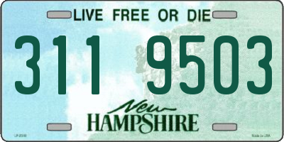 NH license plate 3119503