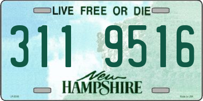 NH license plate 3119516