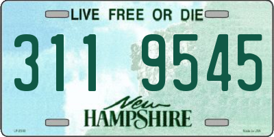 NH license plate 3119545