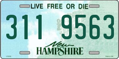 NH license plate 3119563