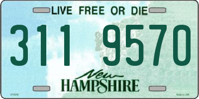NH license plate 3119570