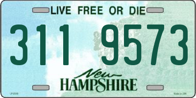 NH license plate 3119573