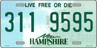 NH license plate 3119595