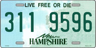 NH license plate 3119596