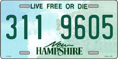 NH license plate 3119605