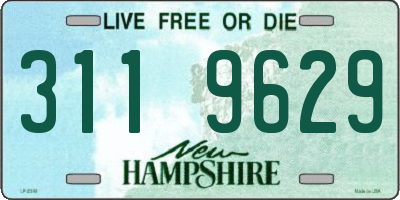 NH license plate 3119629