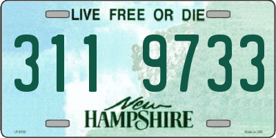 NH license plate 3119733