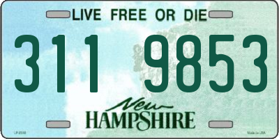 NH license plate 3119853