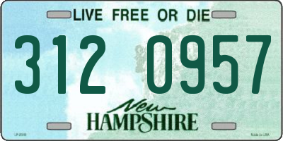 NH license plate 3120957