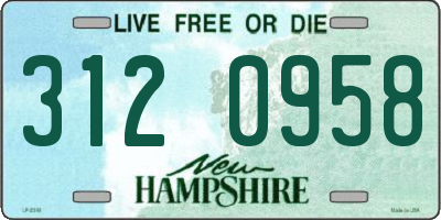 NH license plate 3120958