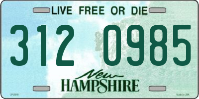 NH license plate 3120985