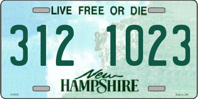 NH license plate 3121023