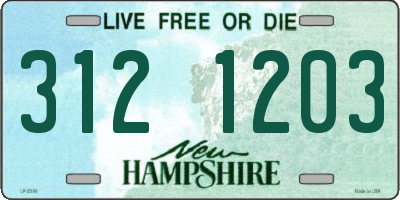 NH license plate 3121203