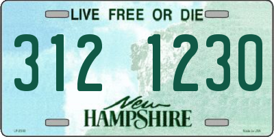NH license plate 3121230
