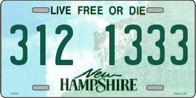 NH license plate 3121333